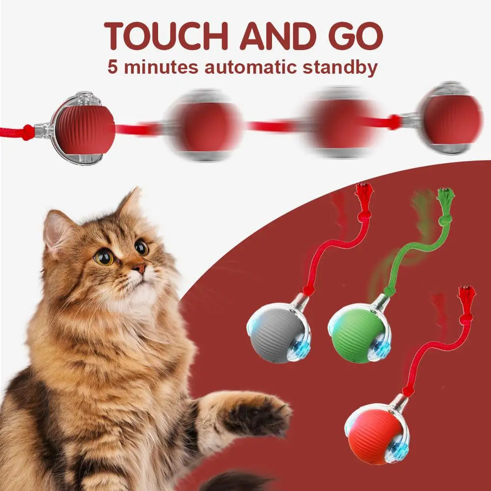 Cat Interactive Ball Toy , Automatic Rolling Cat Ball Rechargeable, Intelligent Cat Toys, Motion Activated Teasing Ball for Cat