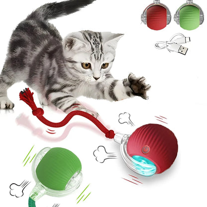 Cat Interactive Ball Toy , Automatic Rolling Cat Ball Rechargeable, Intelligent Cat Toys, Motion Activated Teasing Ball for Cat