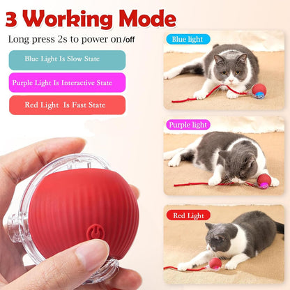 Automatic Interactive Rolling Cat Toys Ball for Indoor- Rechargeable Activate Dog Pet Toy for Indoor, Self-Playing Automatic Moving Kitten Toys for Cats, Durable and Safe Material