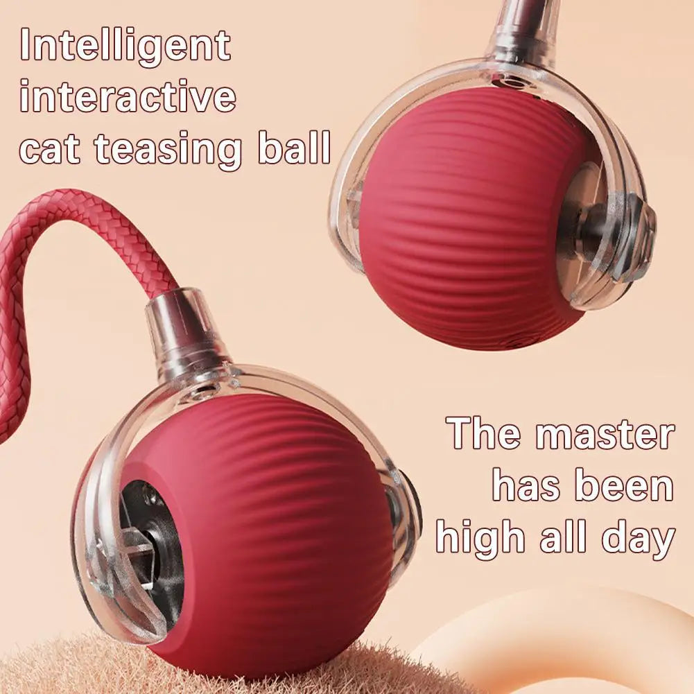Cat Interactive Ball Toy , Automatic Rolling Cat Ball Rechargeable, Intelligent Cat Toys, Motion Activated Teasing Ball for Cat