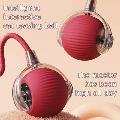 Cat Interactive Ball Toy , Automatic Rolling Cat Ball Rechargeable, Intelligent Cat Toys, Motion Activated Teasing Ball for Cat
